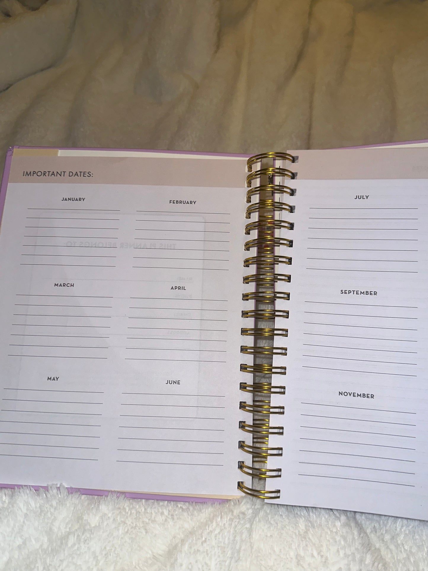 Plan, Sip & Stay Organizer Set - Lavender